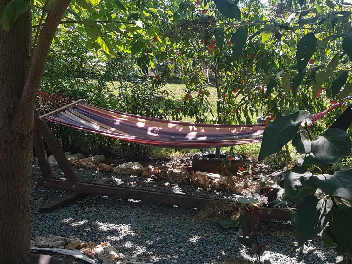 فندق Casa Magnolia Douăzeci şi Trei August المظهر الخارجي الصورة