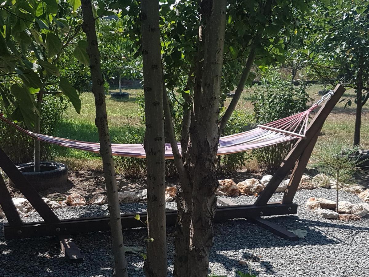 فندق Casa Magnolia Douăzeci şi Trei August المظهر الخارجي الصورة