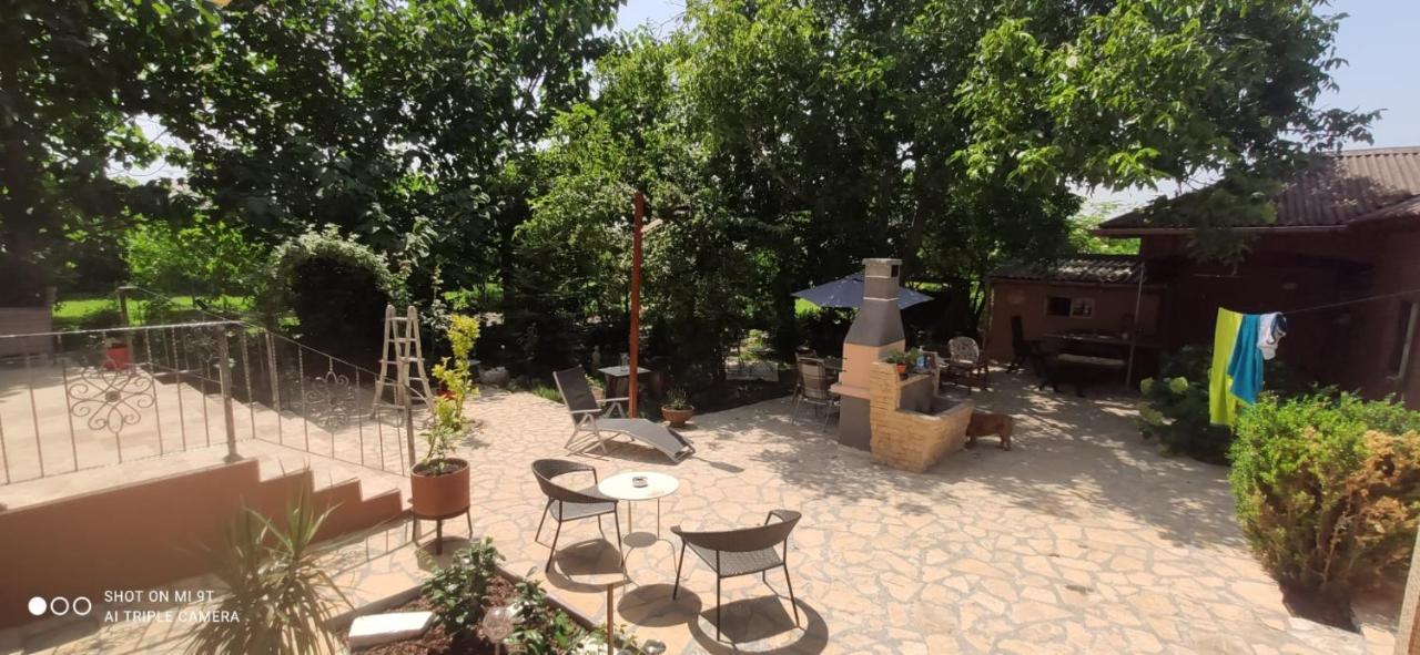 فندق Casa Magnolia Douăzeci şi Trei August المظهر الخارجي الصورة