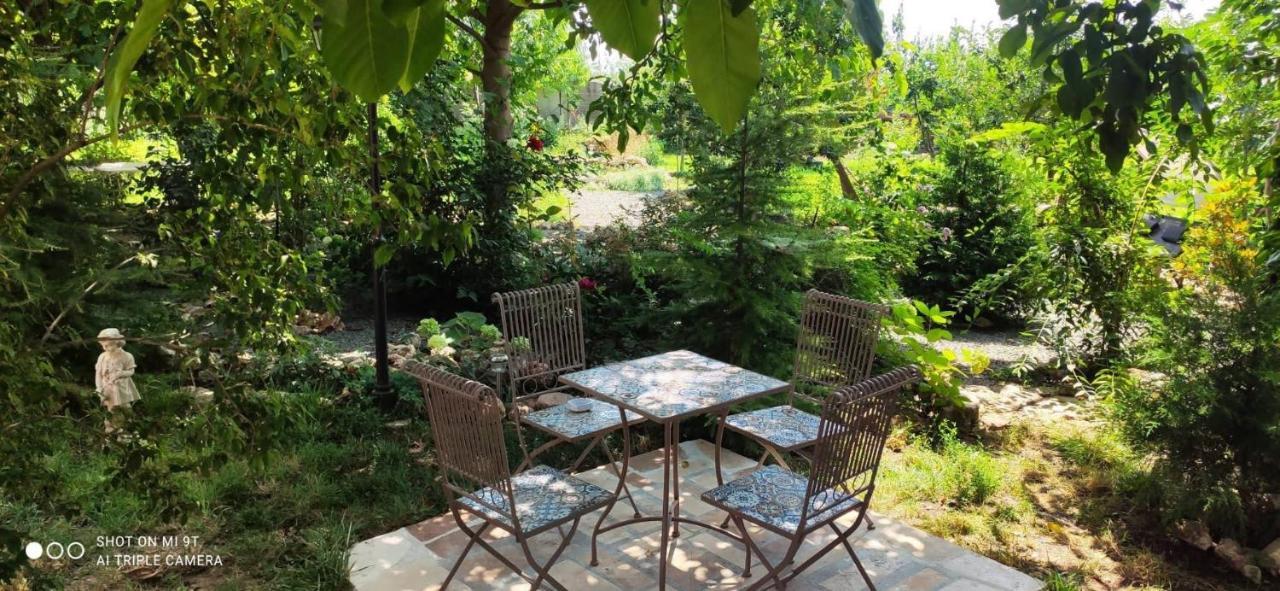 فندق Casa Magnolia Douăzeci şi Trei August المظهر الخارجي الصورة