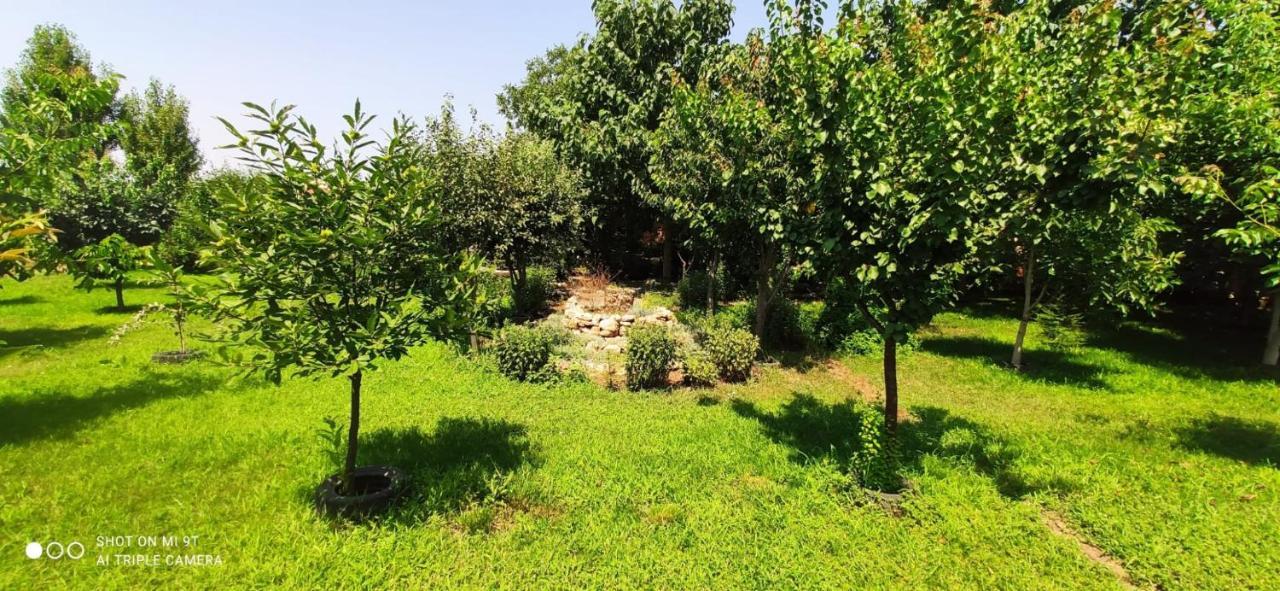 فندق Casa Magnolia Douăzeci şi Trei August المظهر الخارجي الصورة