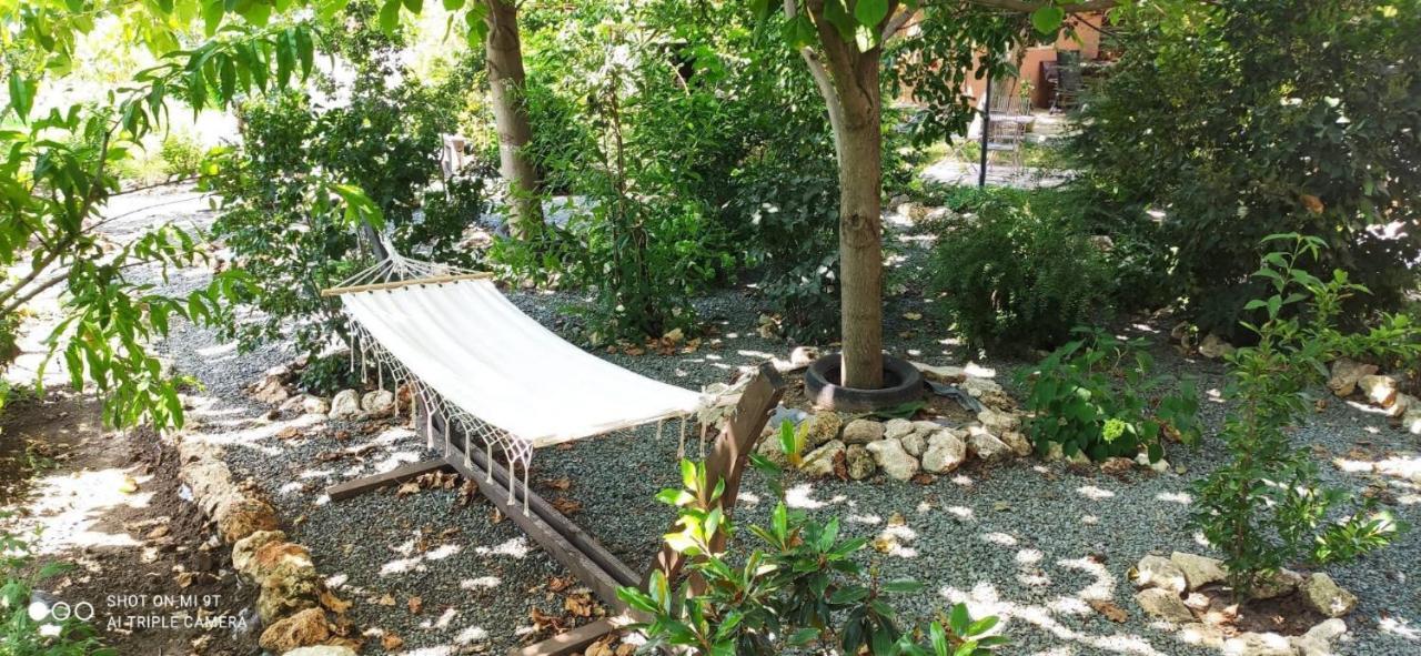 فندق Casa Magnolia Douăzeci şi Trei August المظهر الخارجي الصورة