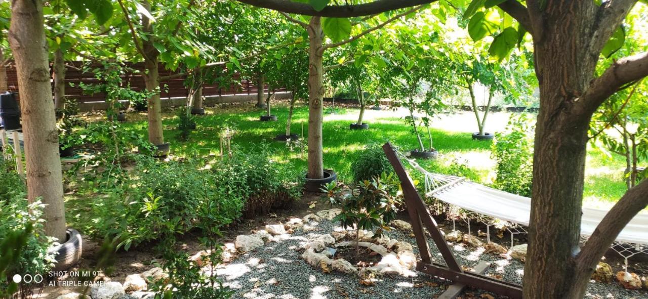 فندق Casa Magnolia Douăzeci şi Trei August المظهر الخارجي الصورة