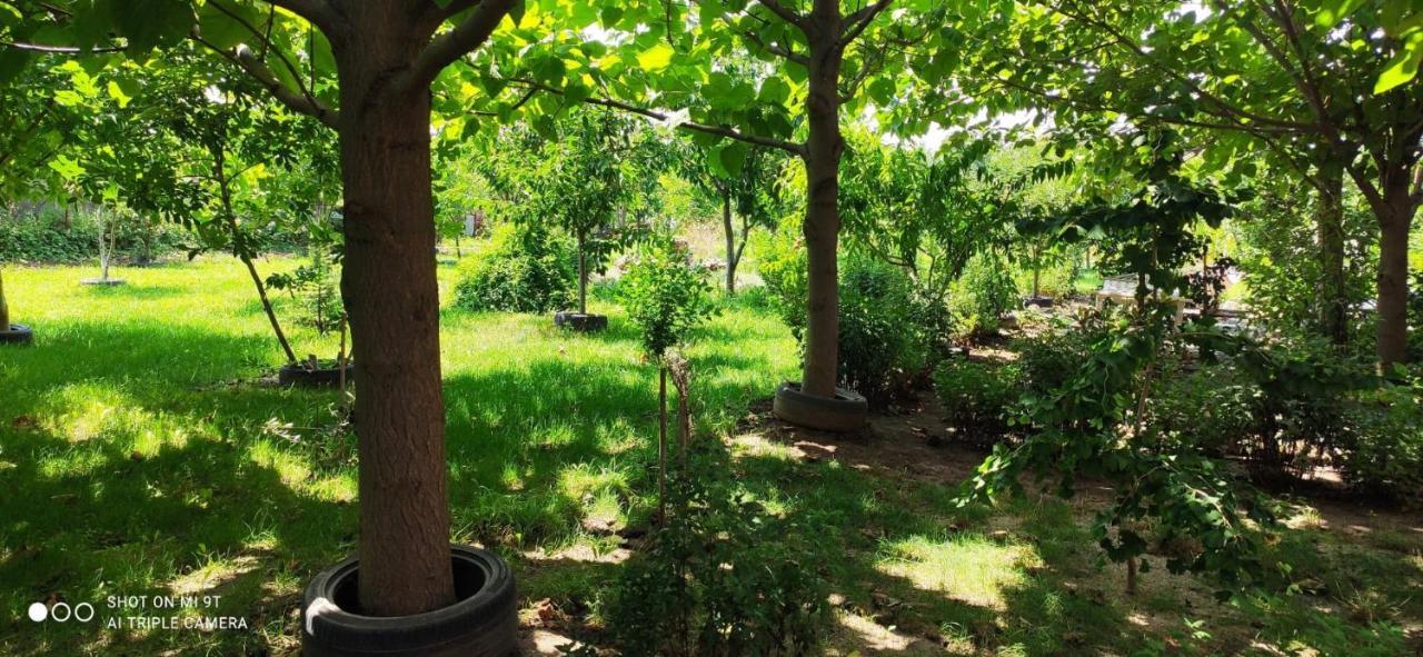 فندق Casa Magnolia Douăzeci şi Trei August المظهر الخارجي الصورة