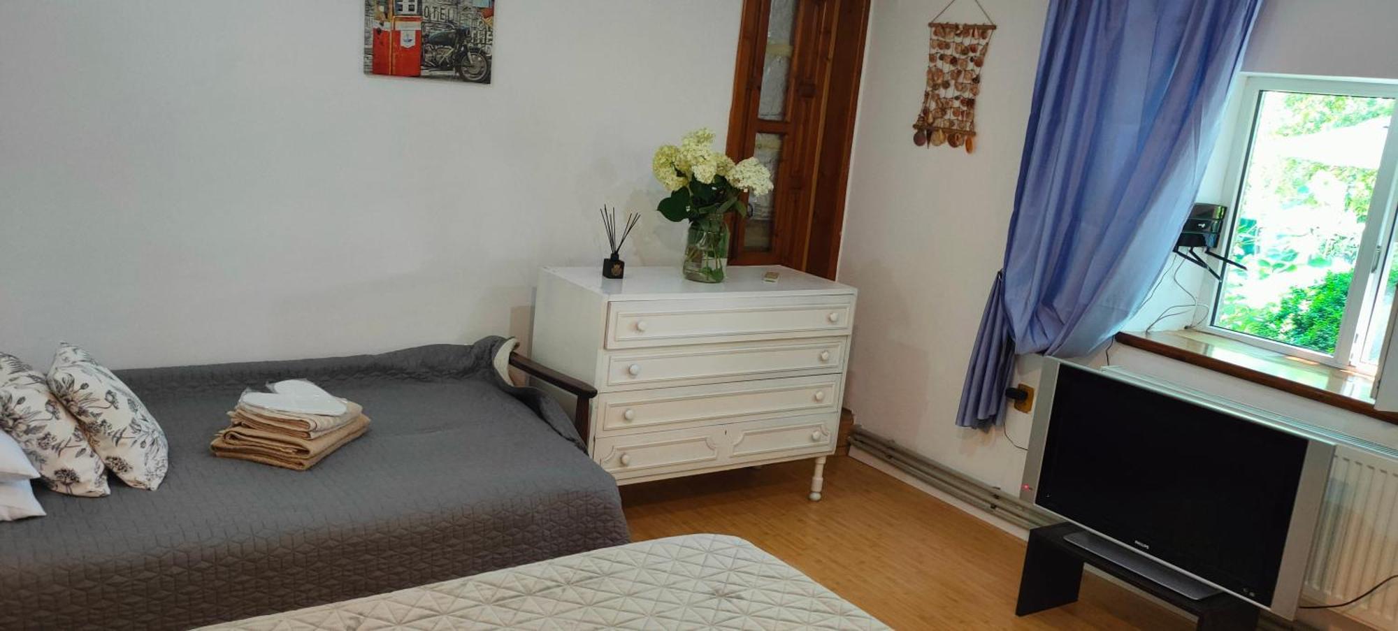 فندق Casa Magnolia Douăzeci şi Trei August المظهر الخارجي الصورة