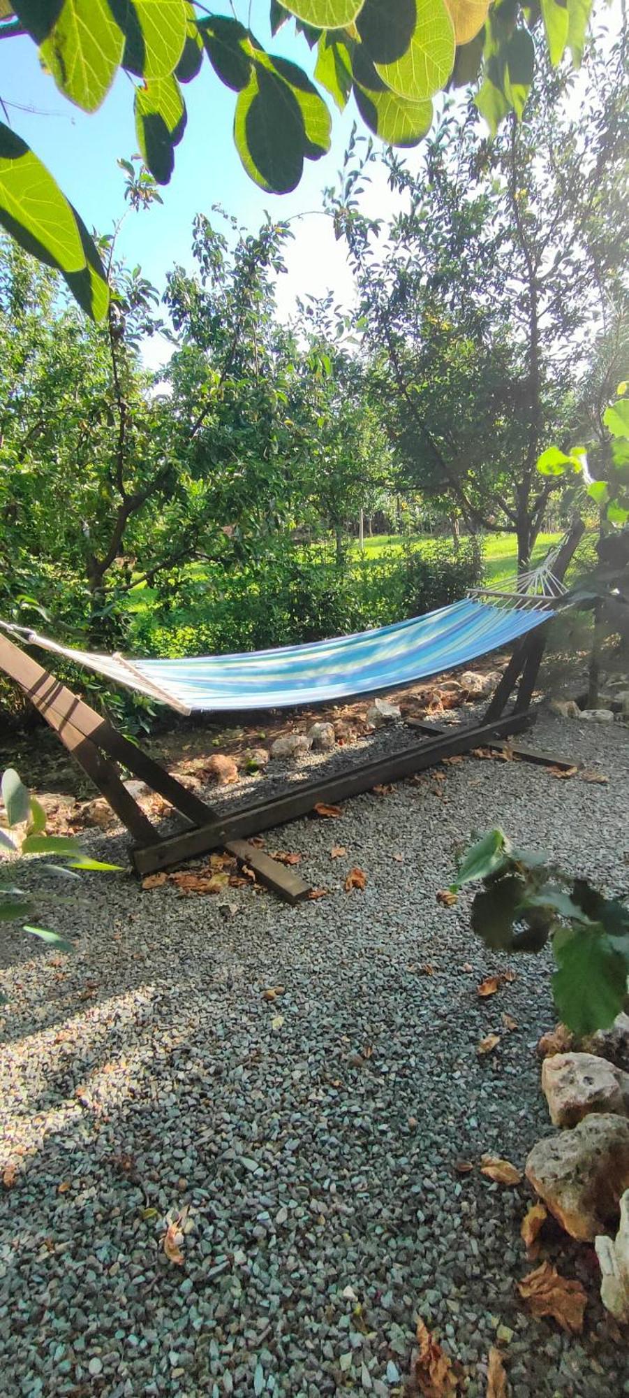 فندق Casa Magnolia Douăzeci şi Trei August المظهر الخارجي الصورة