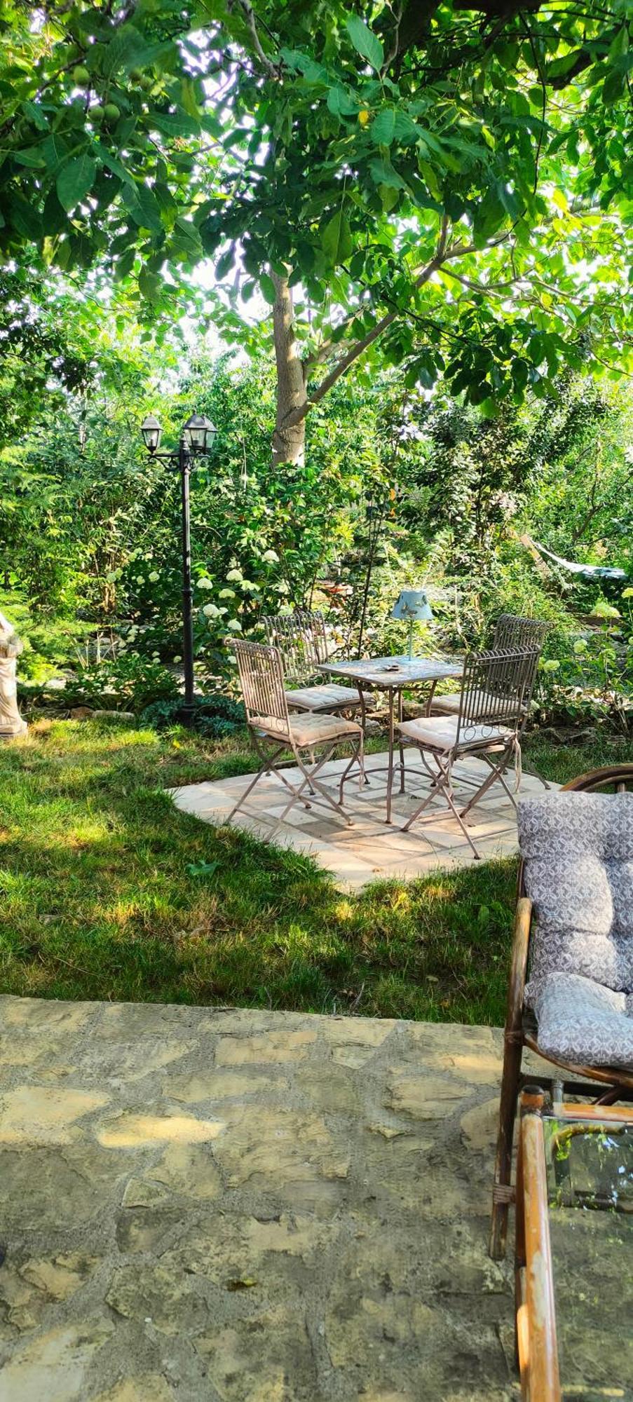 فندق Casa Magnolia Douăzeci şi Trei August المظهر الخارجي الصورة